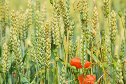 découvrez tout ce que vous devez savoir sur l'allergie au soleil : symptômes, causes, traitements et conseils pour protéger votre peau des rayons uv. informez-vous sur les précautions à prendre pour profiter du soleil en toute sécurité.