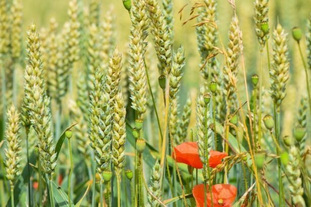 découvrez tout ce que vous devez savoir sur l'allergie au soleil : symptômes, causes, traitements et conseils pour protéger votre peau des rayons uv. informez-vous sur les précautions à prendre pour profiter du soleil en toute sécurité.