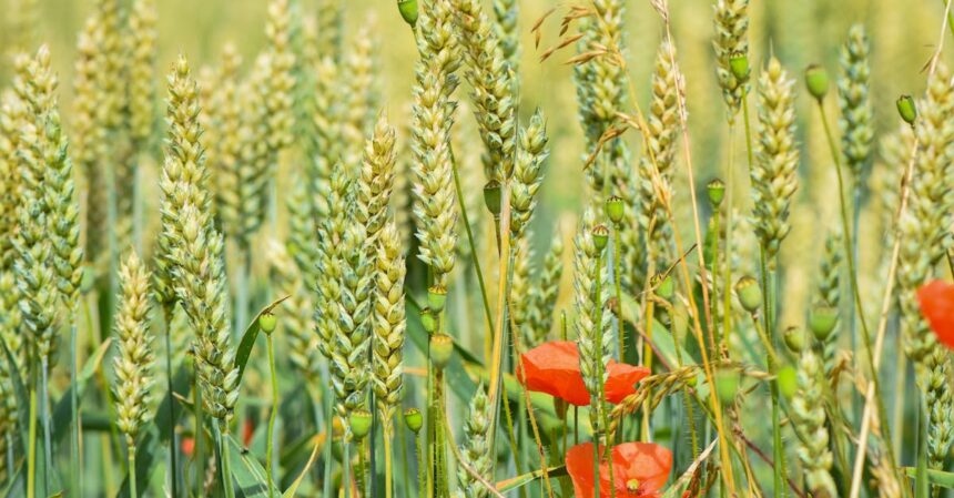 découvrez tout ce que vous devez savoir sur l'allergie au soleil : symptômes, causes, traitements et conseils pour protéger votre peau des rayons uv. informez-vous sur les précautions à prendre pour profiter du soleil en toute sécurité.