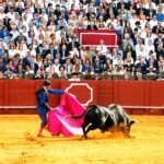 découvrez la taurine, un acide aminé essentiel aux multiples bienfaits pour la santé. apprenez comment elle joue un rôle clé dans le fonctionnement du cœur, la régulation du cholestérol et l'amélioration des performances sportives. explorez les sources naturelles de taurine et son importance dans votre alimentation.