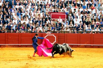découvrez la taurine, un acide aminé essentiel aux multiples bienfaits pour la santé. apprenez comment elle joue un rôle clé dans le fonctionnement du cœur, la régulation du cholestérol et l'amélioration des performances sportives. explorez les sources naturelles de taurine et son importance dans votre alimentation.