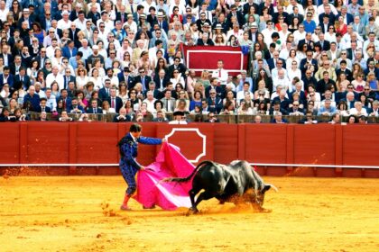 découvrez la taurine, un acide aminé essentiel aux multiples bienfaits pour la santé. apprenez comment elle joue un rôle clé dans le fonctionnement du cœur, la régulation du cholestérol et l'amélioration des performances sportives. explorez les sources naturelles de taurine et son importance dans votre alimentation.