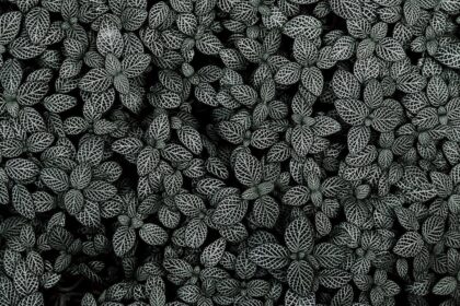 découvrez le nerf vague, un acteur clé du système nerveux qui influence notre santé mentale et physique. apprenez comment il régule diverses fonctions corporelles, de la digestion à la gestion du stress, et explorez des techniques pour le stimuler et améliorer votre bien-être.