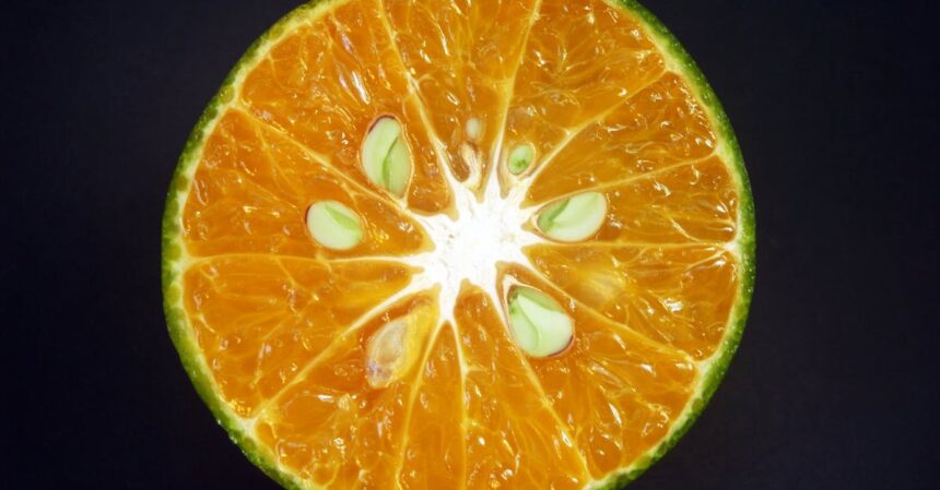 découvrez les nombreux avantages de la vitamine c pour votre santé : renforcement du système immunitaire, protection antioxydante, amélioration de la peau et bien plus encore. explorez comment intégrer cette vitamine essentielle dans votre alimentation quotidienne.