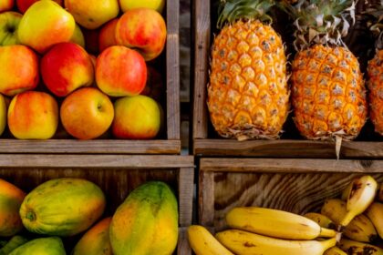 découvrez l'importance des vitamines pour votre santé ! apprenez comment elles contribuent à votre bien-être quotidien, leurs sources naturelles et comment les intégrer facilement dans votre alimentation.