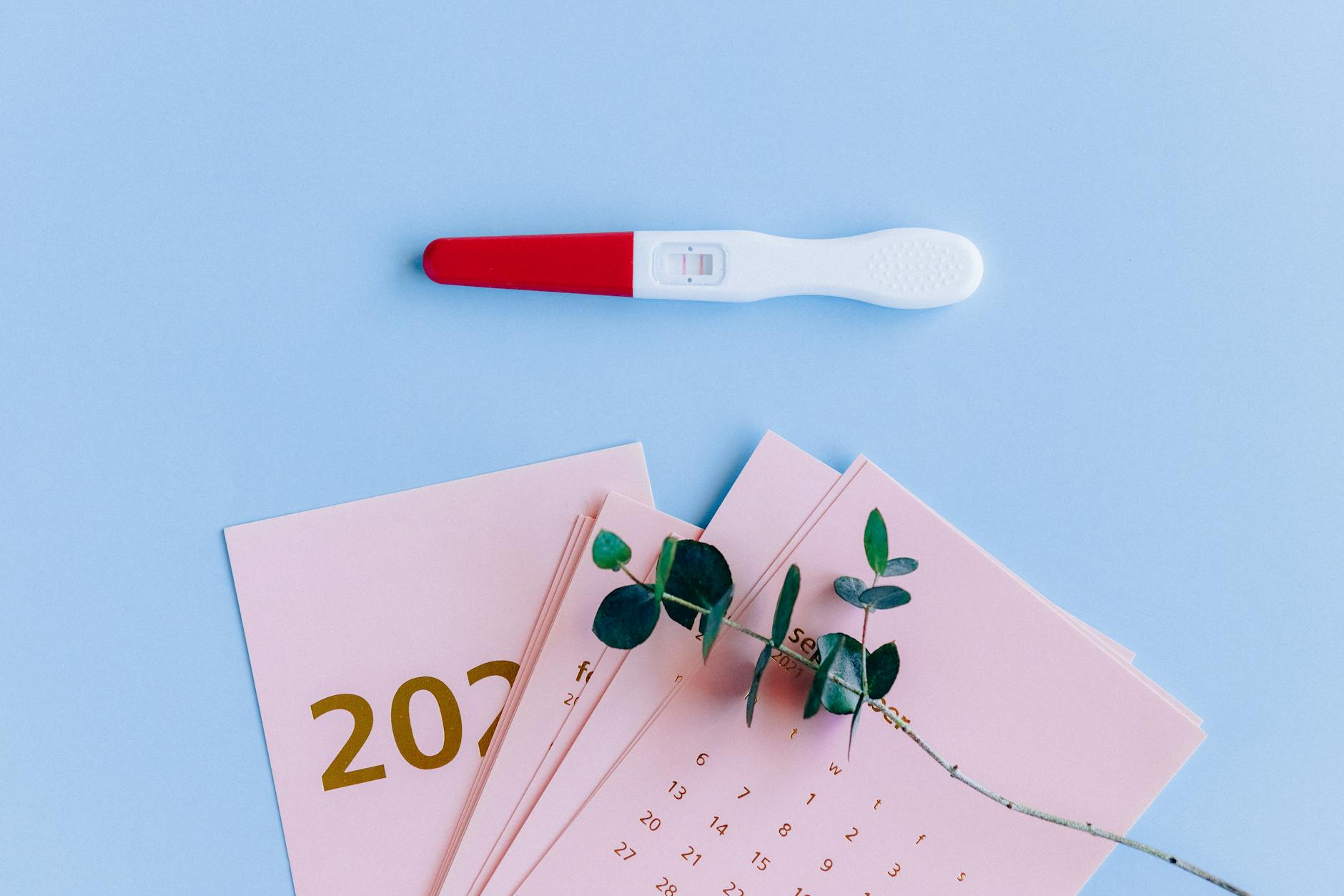 Photos gratuites de 2024, année, annonce de grossesse