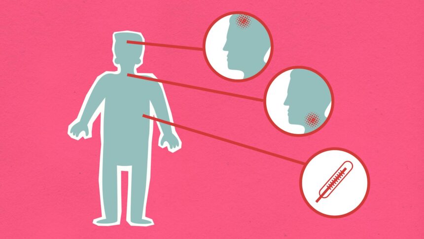 helicobacter pylori : symptômes fatigue